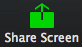 'Share Screen' button