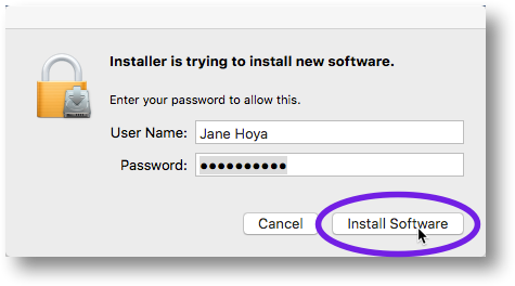 Click Install Software