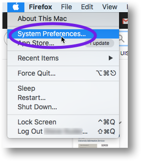 Select System Preferences from apple menu