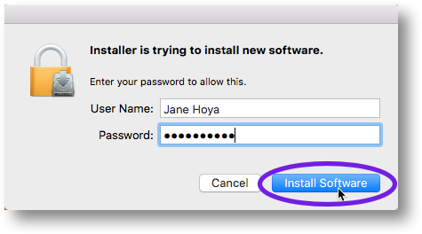 Enter your computer password and then click 'Install Software'