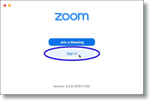 Zoom Cloud Meetings window