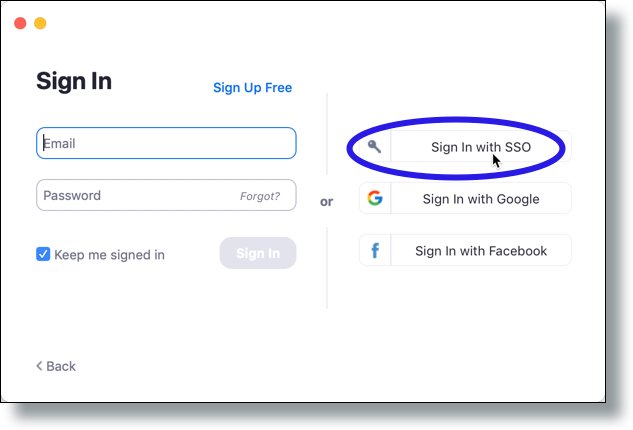 Select SSO sign in option