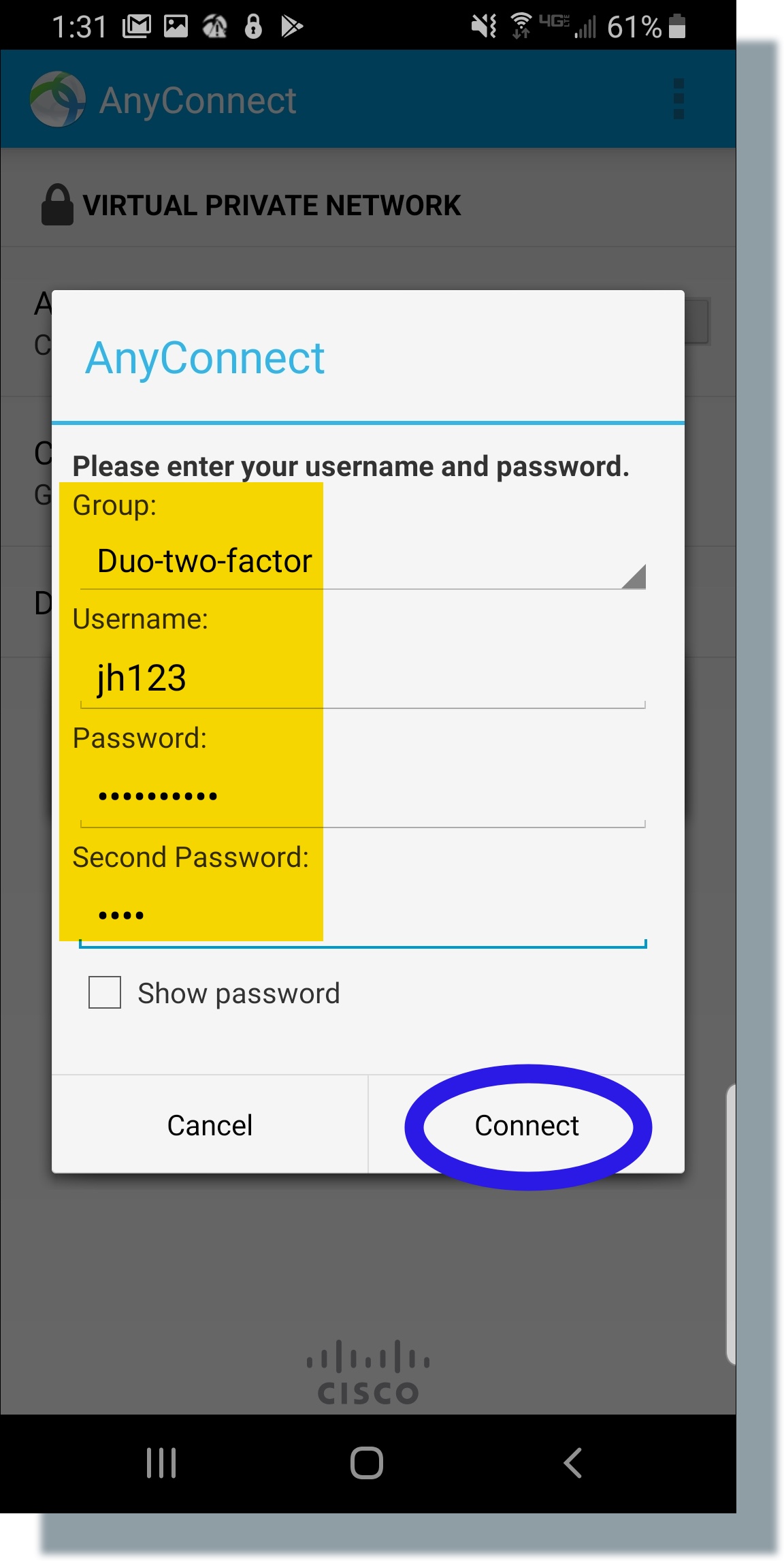 Enter NetID, password, 'push' for second password, then click 'Connect'