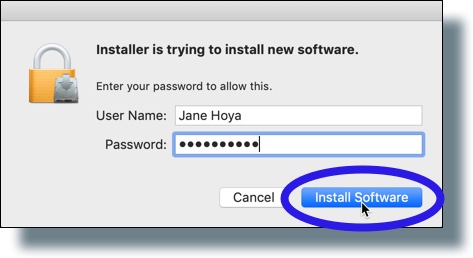 Click 'Install Software'