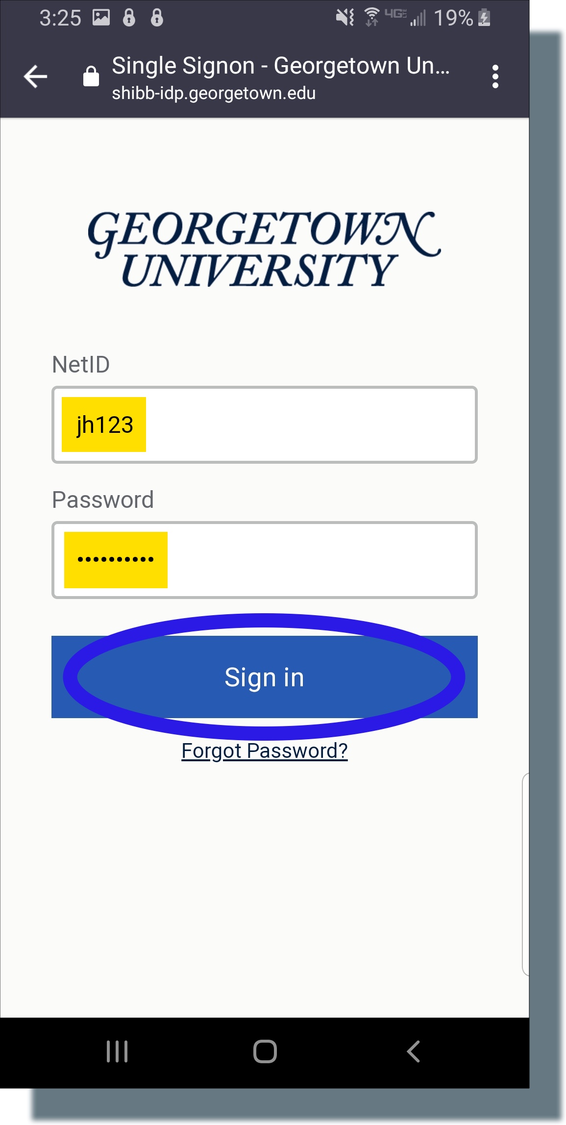 Enter your NetID and password