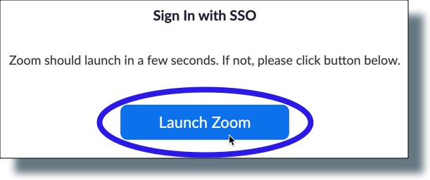 Click 'Launch Zoom' if Zoom does not open