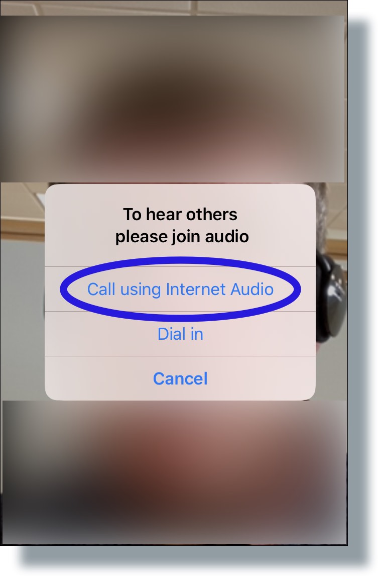 Select 'Call using Internet Audio'
