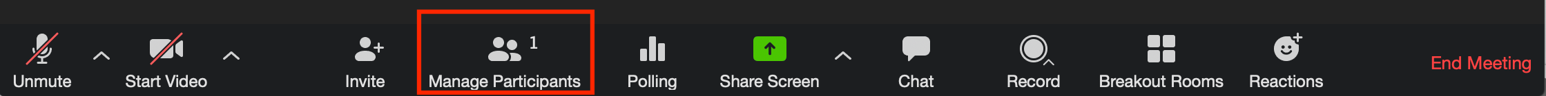 Zoom Manage Participants button on Meeting control bar