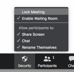 Zoom Meeting Controls To Secure Participant Actions University Information Services Georgetown University