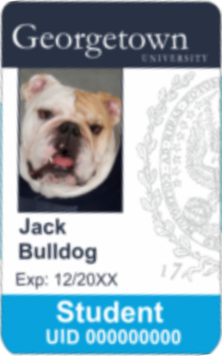 Image of GOCard showing Jack the Bulldog
