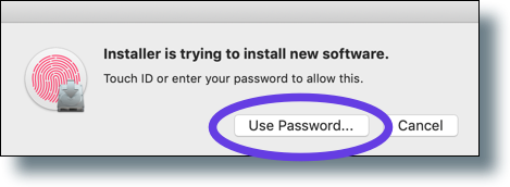 Click 'Use Password'