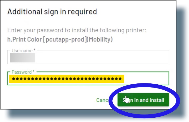 Enter your NetID password, then click 'Sign in and install'.