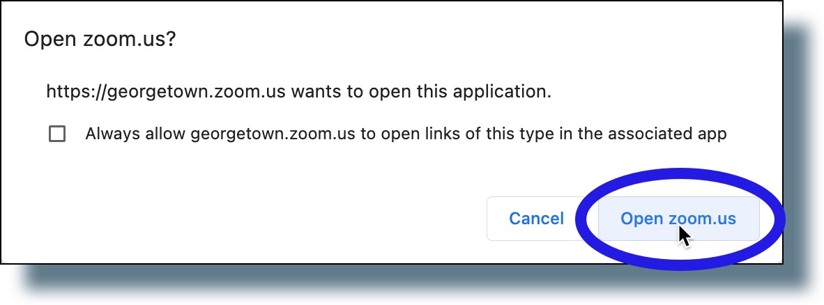 If you see this pop-up window, click 'Open zoom.us'.