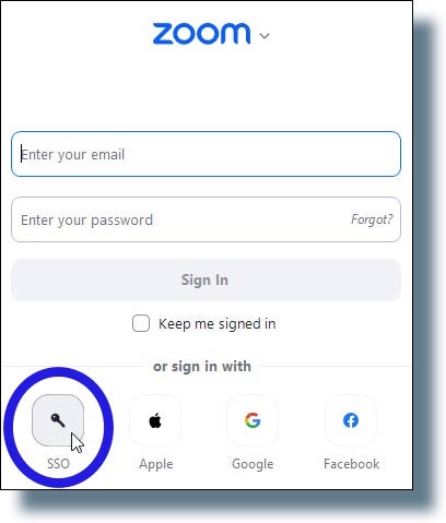 Click 'SSO' in the Zoom sign-in window.
