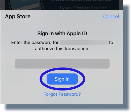 Enter your Apple ID password, and then tap 'Sign in'.
