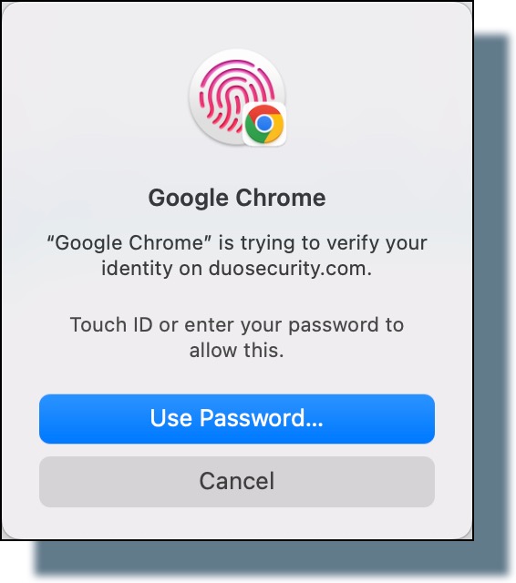 Image of screen prompting you to use either Touch ID or your password to verify your identity.