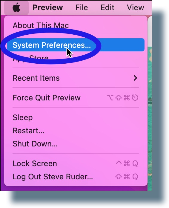 Click the Apple menu, then select "System Preferences" from the drop-down list.