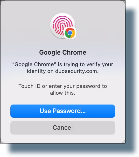 Verify your identity by using either your computer password or Touch ID.