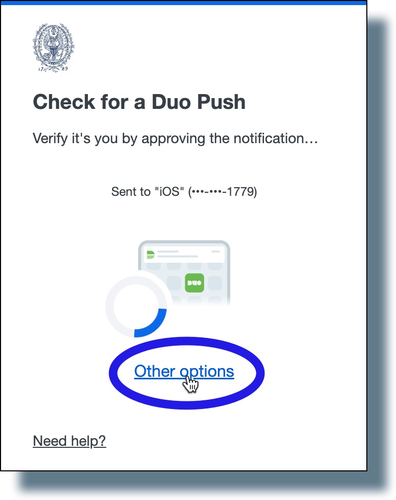 Image of Duo screen. Click the link "Other options".