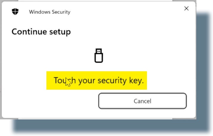 Image of pop-up window instructing you to touch your security key.