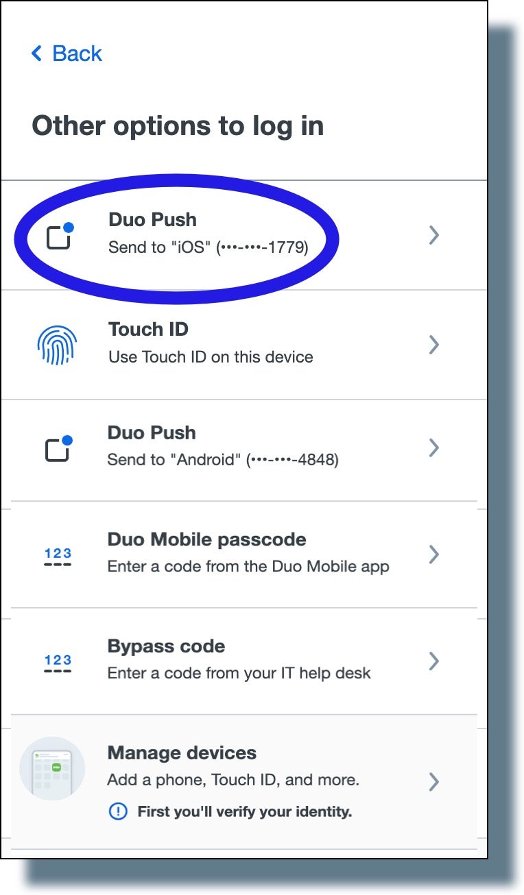 Duo screen listing Duo authentication options.
