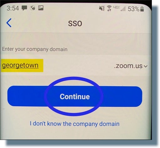 Entering 'georgetown' as domain for Zoom installation, then clicking 'Continue'.