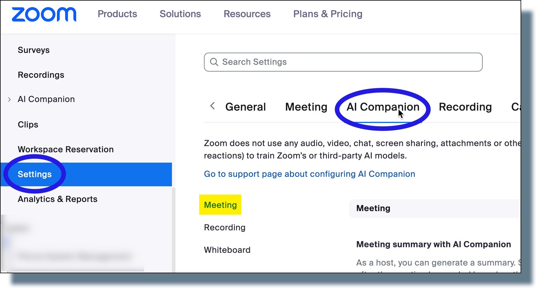 Navigating to the 'Meeting' section of Zoom AI settings.