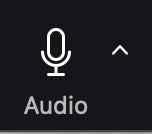 Zoom 'Audio' Meeting Control icon, shown turned on.