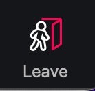 Zoom 'Leave' Meeting Control icon.