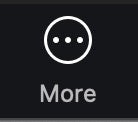 Zoom 'More' Meeting Controls icon.