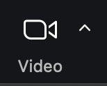 Zoom 'Video' Meeting Control icon, turned on.