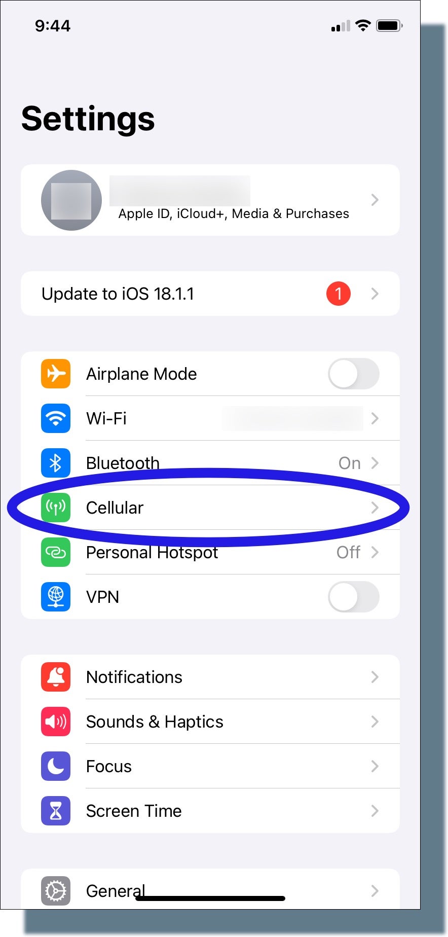 Selecting 'Cellular' from iPhone 'Settings' screen.