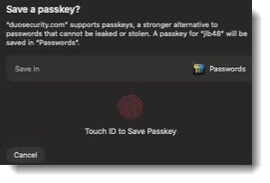 Use the fingerprint area to save your passkey